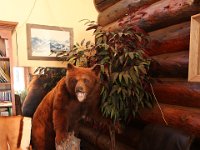 T Lazy 7 Ranch-052